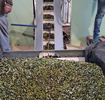 Liotrivi Olive Press