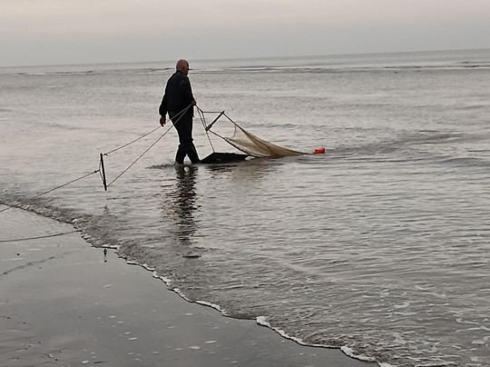 弗莱彻酒店主图