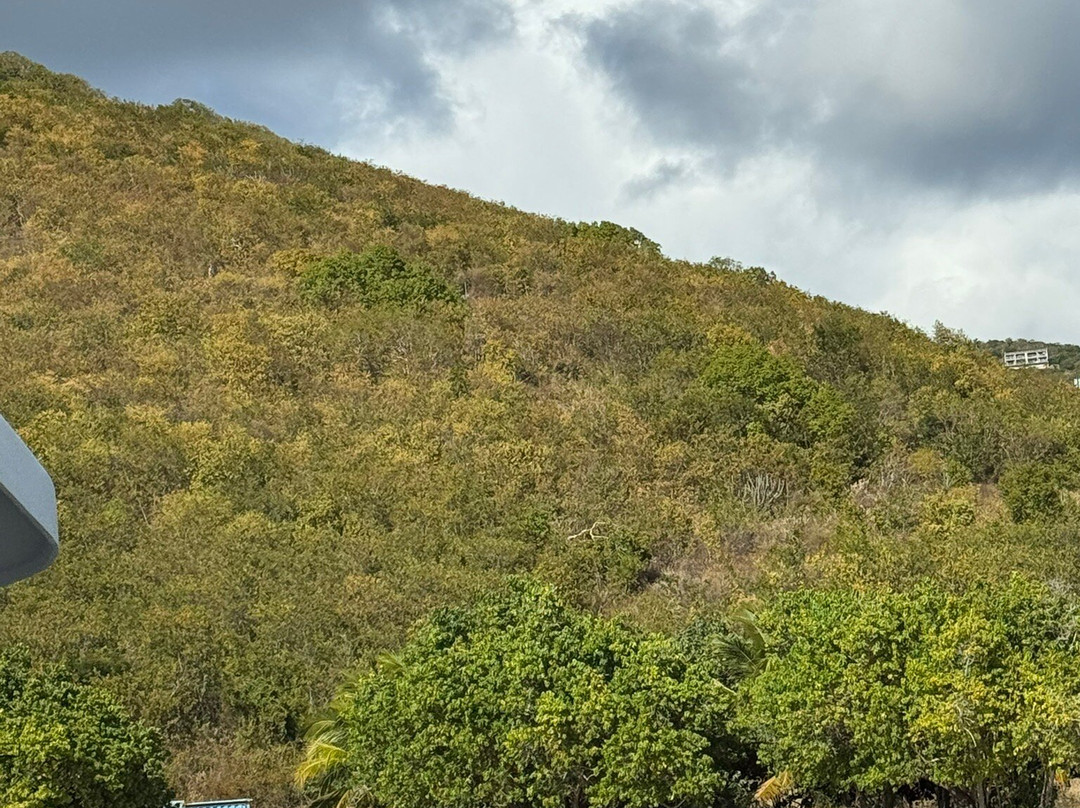 Sabrage Charters-圣 托马斯必去景点