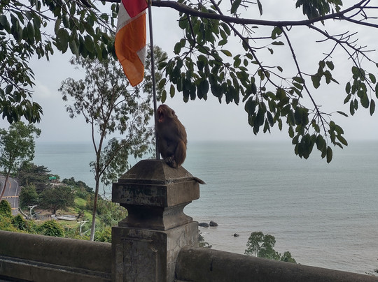 Simply Vietnam Travel-会安必去景点