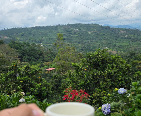 Tour cafetero los Correa-Jardin必去景点
