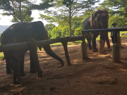 查汶海滩-查汶海滩必去景点