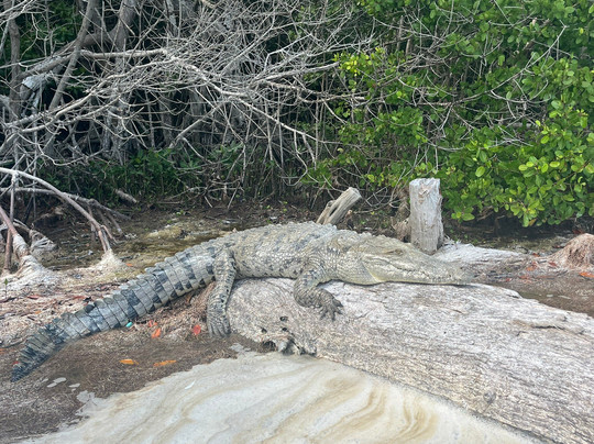 Parque Natural Ria Lagartos-里奥拉加托斯必去景点