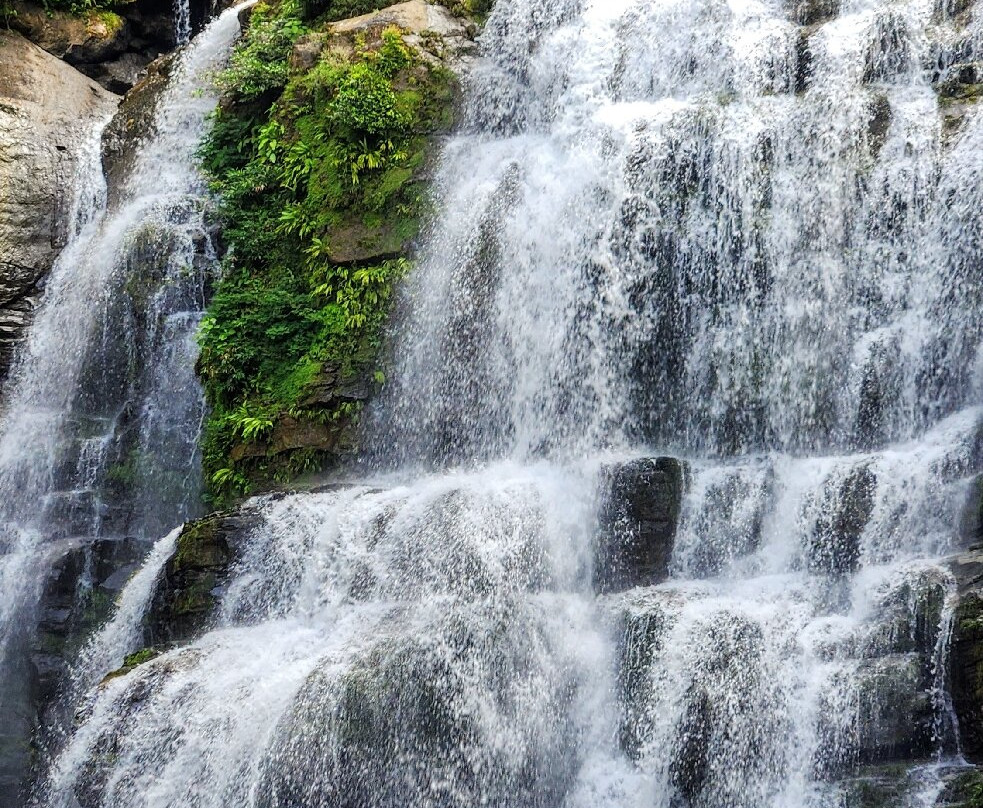 Waterfalls Heaven Costa Rica-哥斯达黎加安东尼奥国家公园必去景点