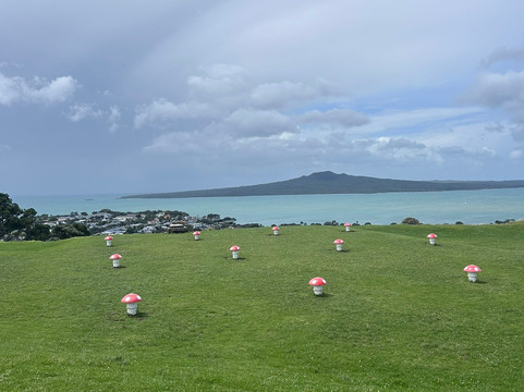 Mount Victoria Reserve-德文波特必去景点