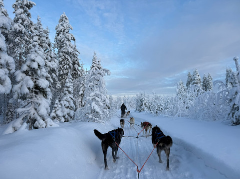 Huskypoint-罗瓦涅米必去景点