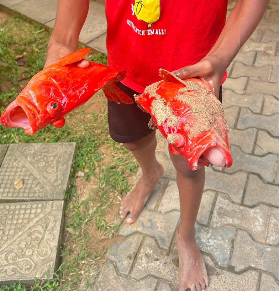 Talalla Sunshine Beach-官方