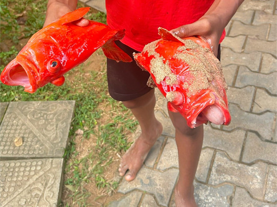 Talalla Sunshine Beach主图