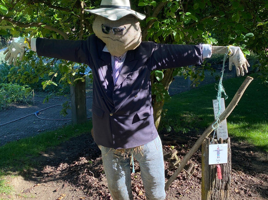 瓦纳卡薰衣草农场-瓦纳卡必去景点