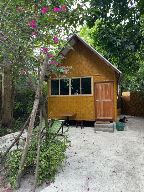 绿色海滩度假村-官方