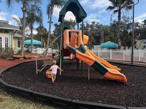 Encore Tropical Palms主图