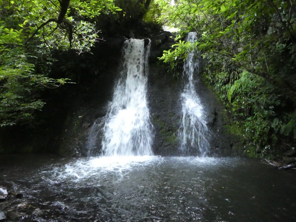 Coombe Farm Bed and Breakfast-官方