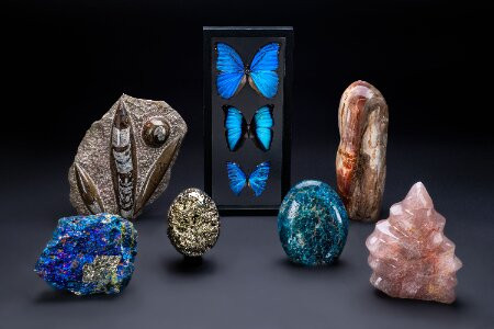 Astro Gallery of Gems Boise Idaho-博伊西必去景点