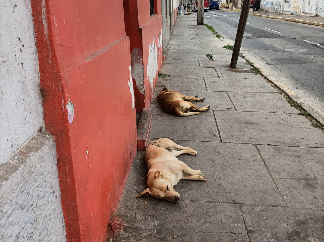 Puerto de Coquimbo-Coquimbo必去景点