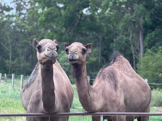 Splitters Farm-邦德堡必去景点