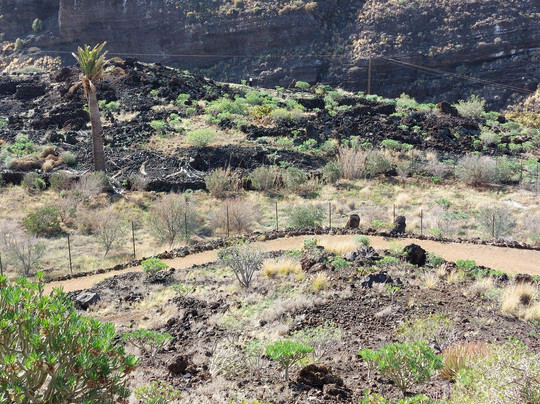 Maipes de Agaete-Agaete必去景点