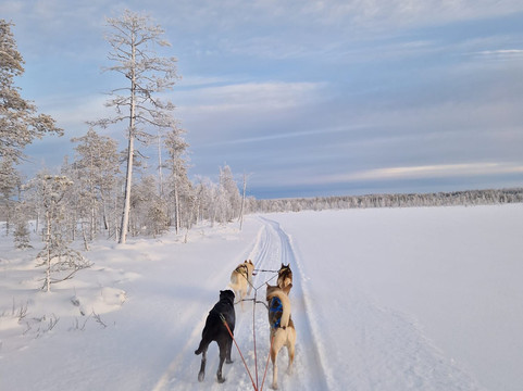 Backwoods Husky-Taivalkoski必去景点