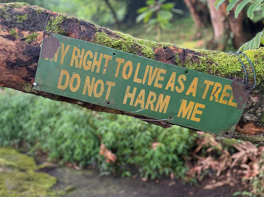 Kigezi Vima Safaris-Kibale National Park必去景点