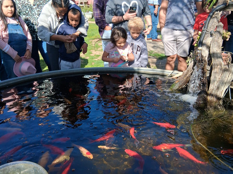 Oasis Camel Dairy-拉蒙纳必去景点