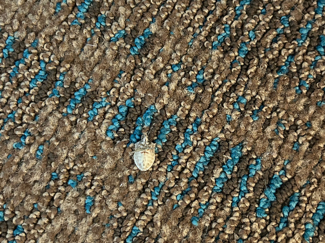 里士满西北Residence Inn 酒店主图