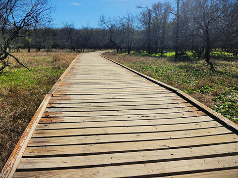 Palmetto State Park-Gonzales必去景点