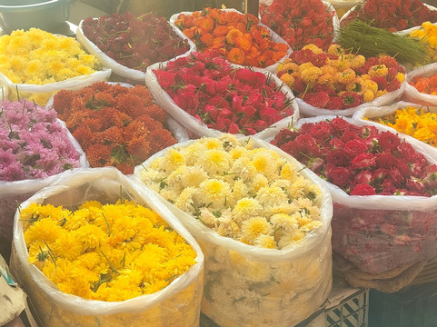 Gully Tours-班加罗尔必去景点