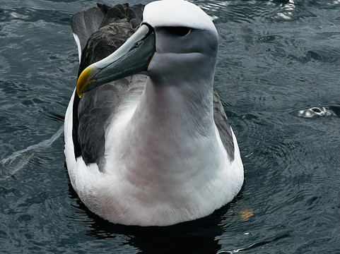 Stewart Island Electric Bikes-斯图尔特岛必去景点