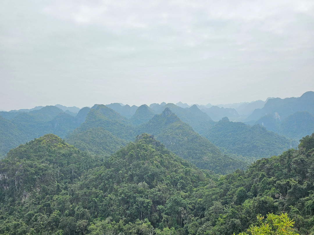 Aroma Viet Nam Travel-Cat Ba Town必去景点