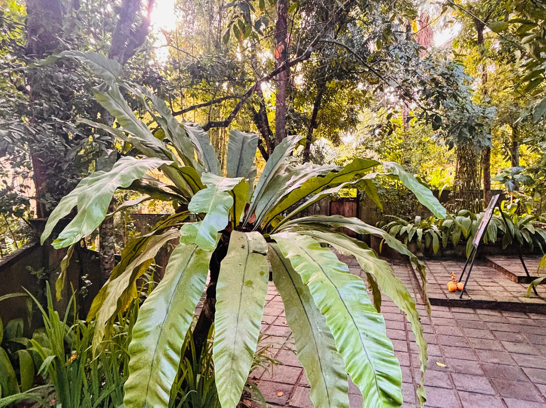 Sri Yoga Shala-乌纳瓦图纳必去景点