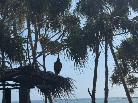 Elgant Island Tours-Katana必去景点