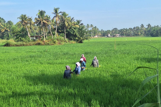 Offbeat Rides-Bhuntar必去景点