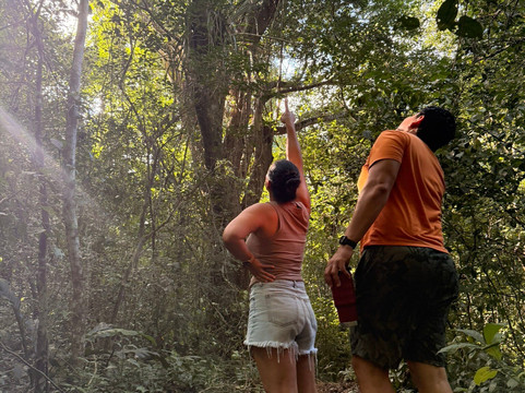 Roots & Ruins México-图伦必去景点