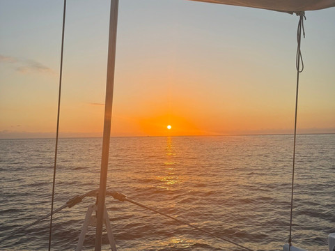 Ally Cat Sailing Adventures-利他必去景点