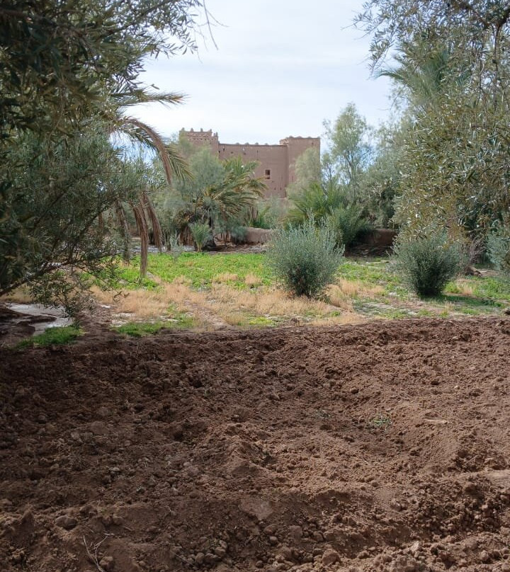 Skoura Oasis Tour Guide-Skoura必去景点