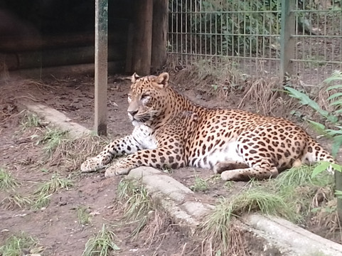 Zoo De Santillana Del Mar-海边的散提亚拿必去景点