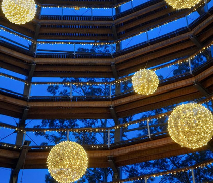 Beyond the Trees Avondale-Rathdrum必去景点