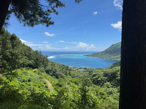 莫雷阿岛ATV之旅-莫雷阿岛必去景点