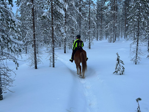 Polaris Point Horses-撒利塞卡必去景点