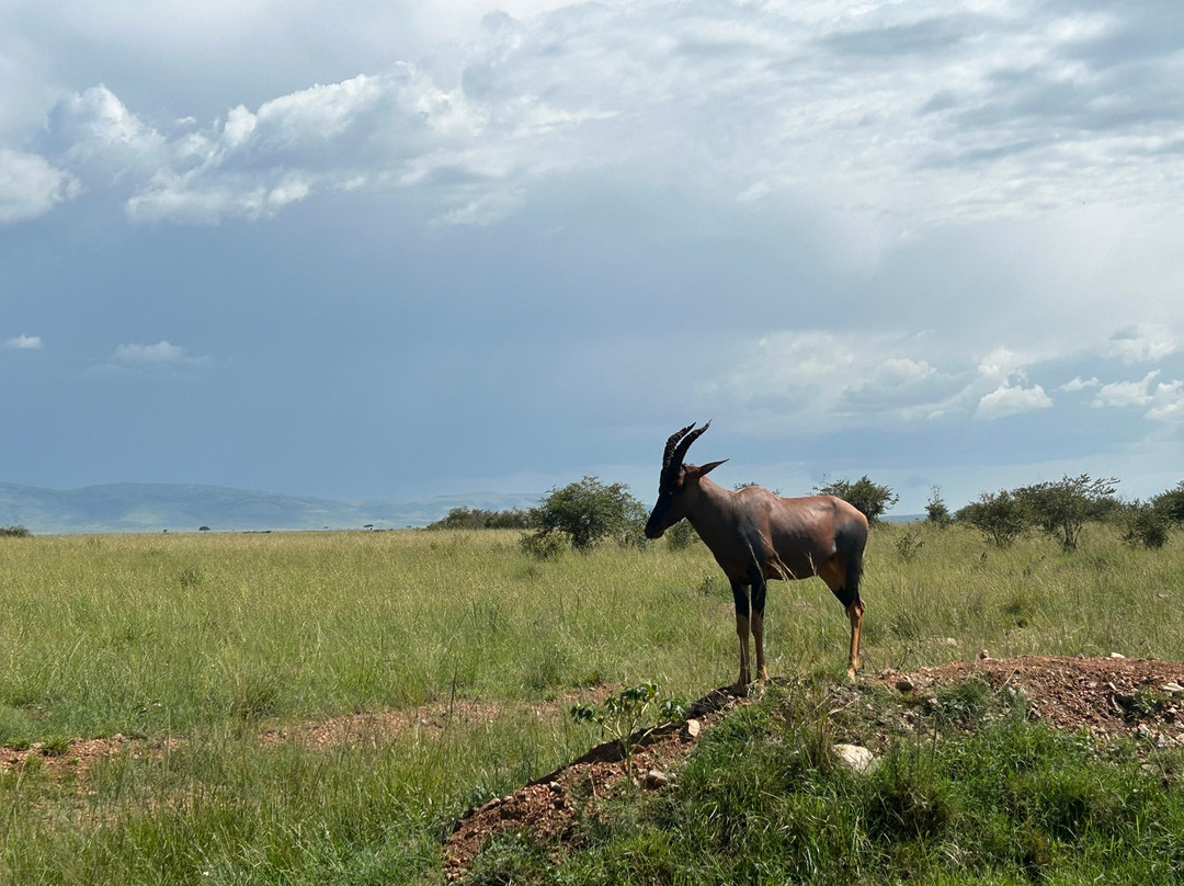 Antonio Safaris-Karen必去景点