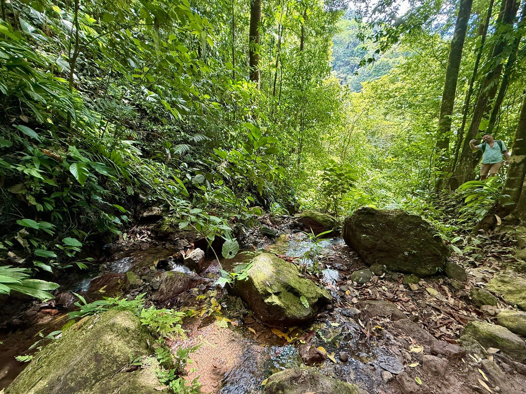 Rainmaker Park-帕利塔必去景点