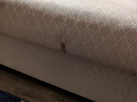 Millcroft Inn & Spa主图