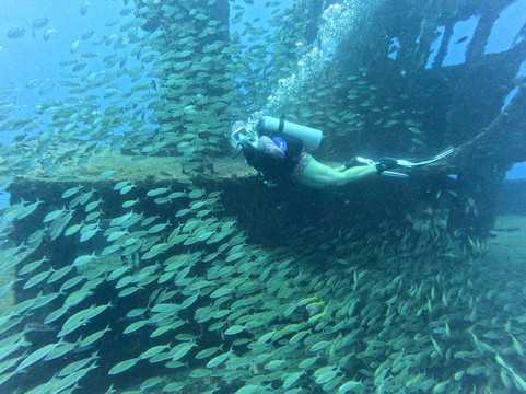 Aquáticos Centro de Mergulho-累西腓必去景点