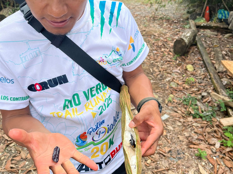 Ecuador Wonders Tour Operator-基多必去景点