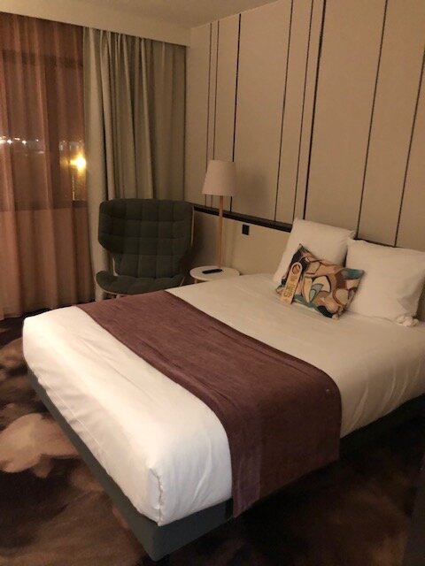 美居里昂热纳欧洲博览中心酒店-客卧