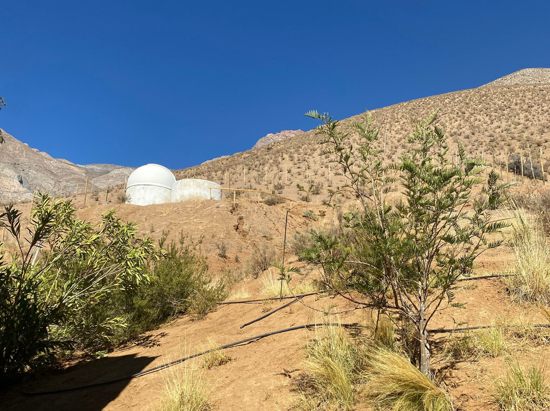 艾尔基德默斯酒店主图