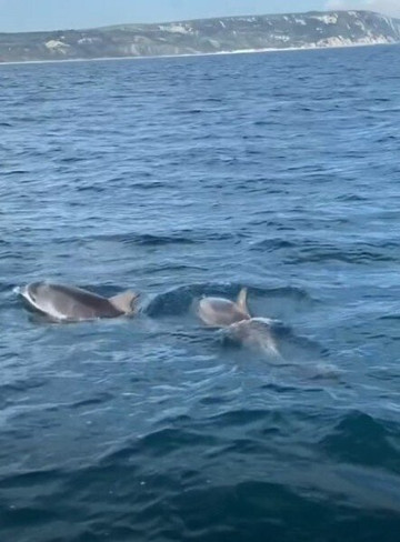 Weymouth Harbour-韦茅斯必去景点