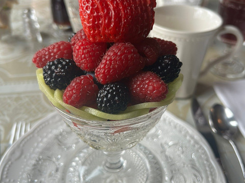 Silas W Robbins House主图