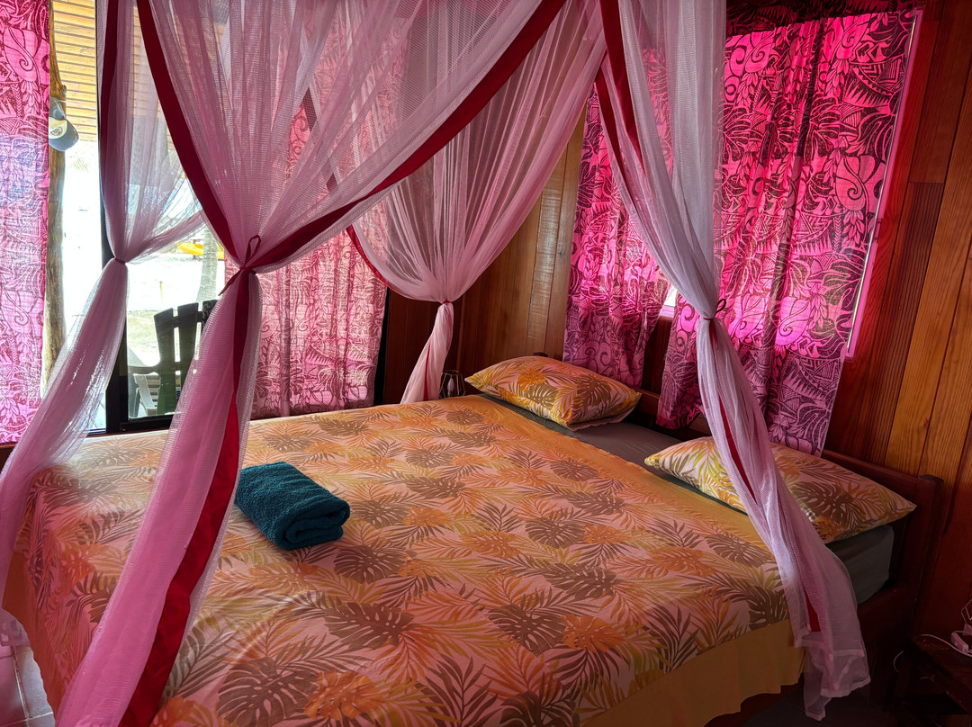 Pension Cecile主图