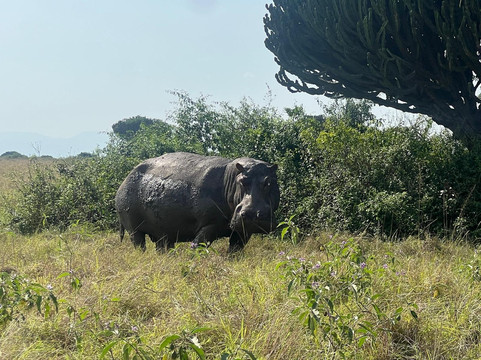 Mugenyi Eco Tours-Rubirizi必去景点