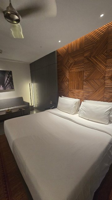 罗纳瓦拉丽笙水疗度假村-官方